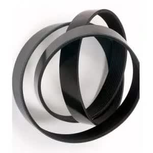 Car & Automotive Fan Belt - 6pk - 2400