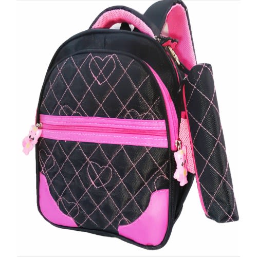 Stylish School Bag Backpack.