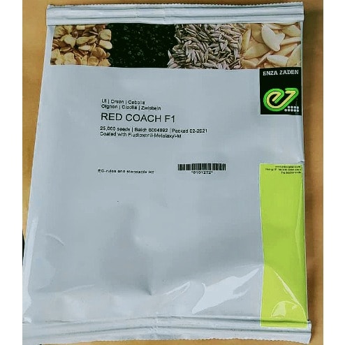 Red Coach F1 Hybrid Onion Seeds - 25,000 Seeds