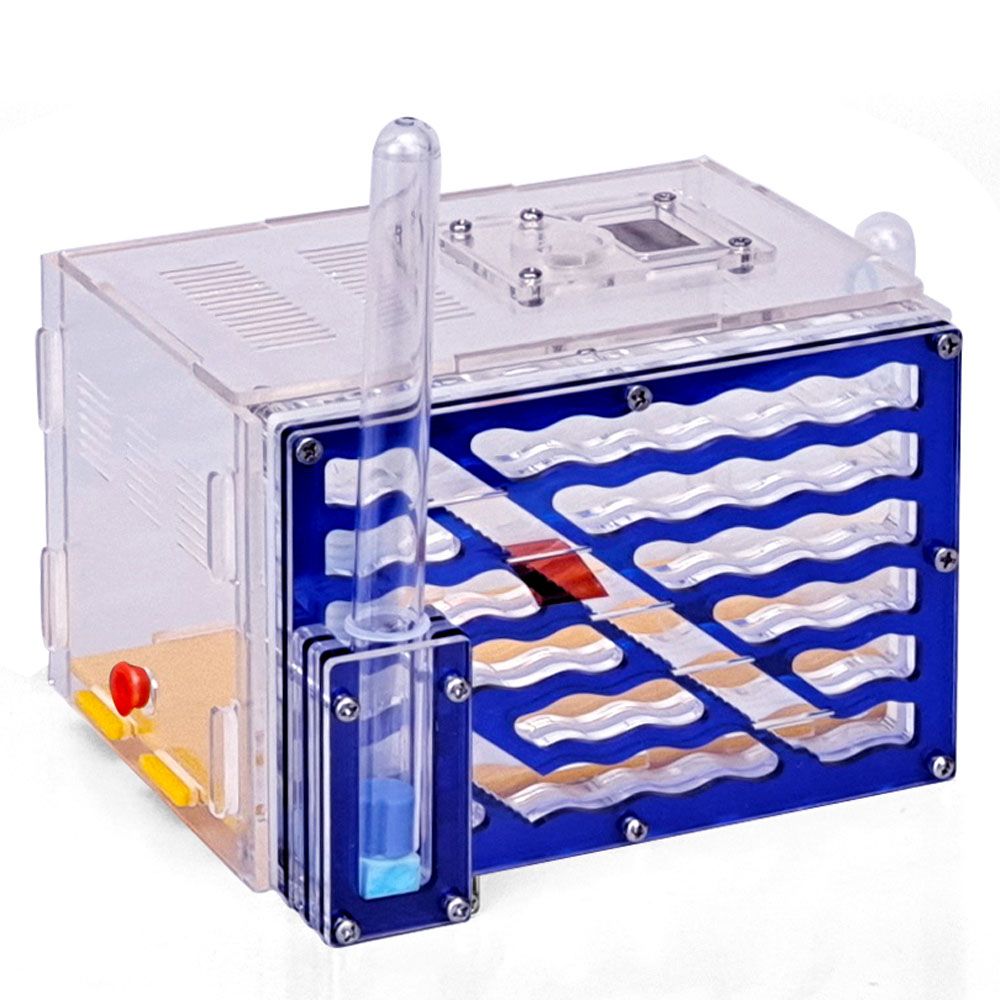 CG1233 DIY Ant House 5-layer Acryl Ants Farm With Moisture