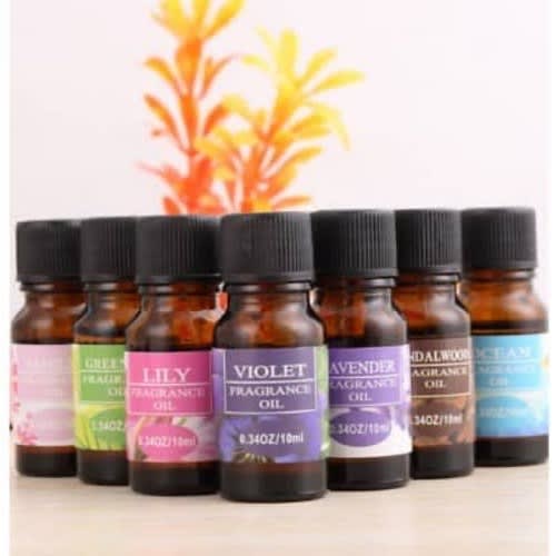 All Season Scents Fragrance Oil - 12pcs - 10ml