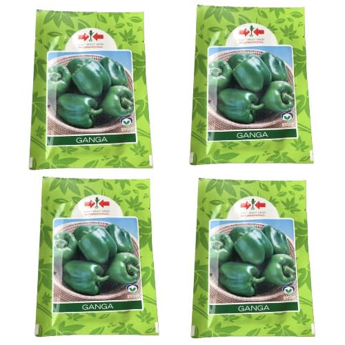 Green Bell Pepper Seeds ( Ganga ) -4 Packs