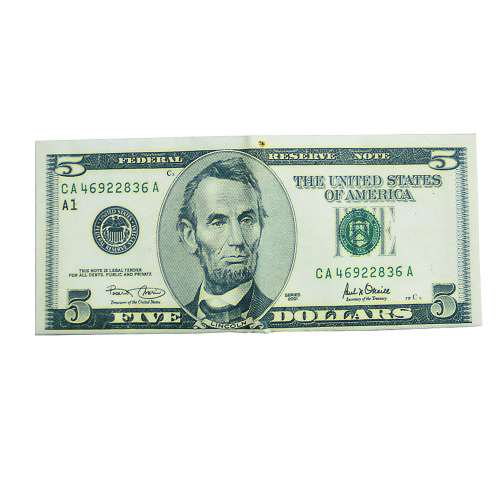 $5 Print Denomination Wallet