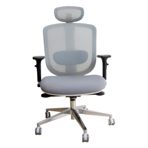 Thekan Galaxy High-end Ergonomics Mesh Office Chair With Headrest