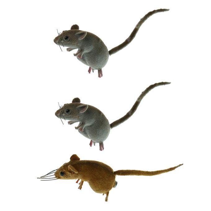 3x Spoof Prop Mouse Statue Mice Tree Lawn Ornament Animal Sculpture