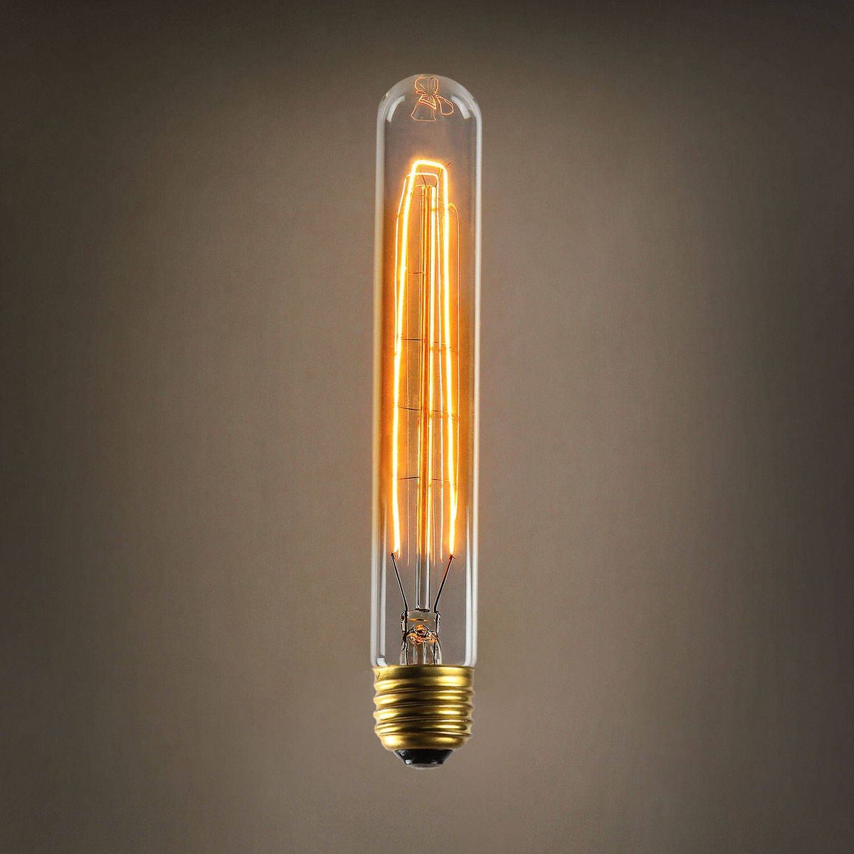 T30-125 Edison Bulb