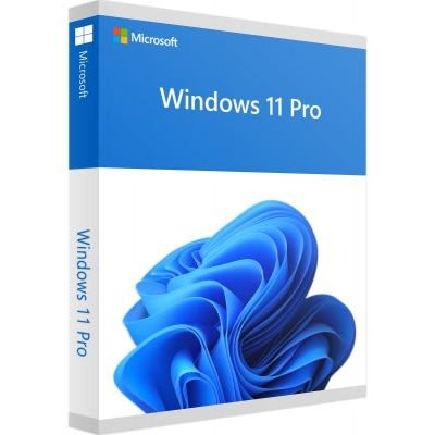 Windows 11 Pro 20 User