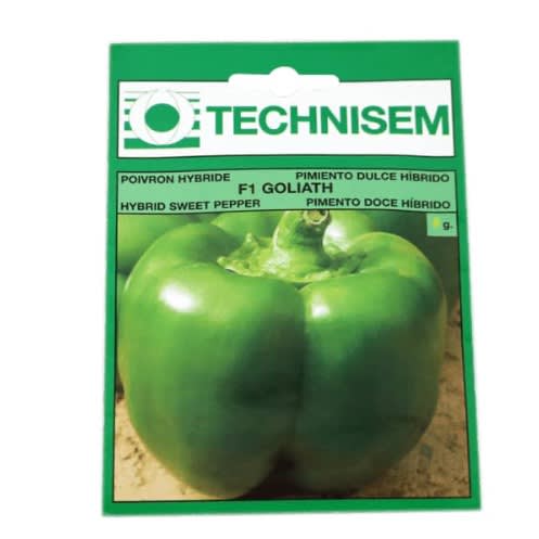 Hybrid Green Bell Pepper Seeds -  F1 Goliath - 5 Grams