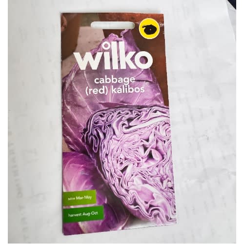 Wilko Cabbage (red) Kalibos Seeds-150seeds