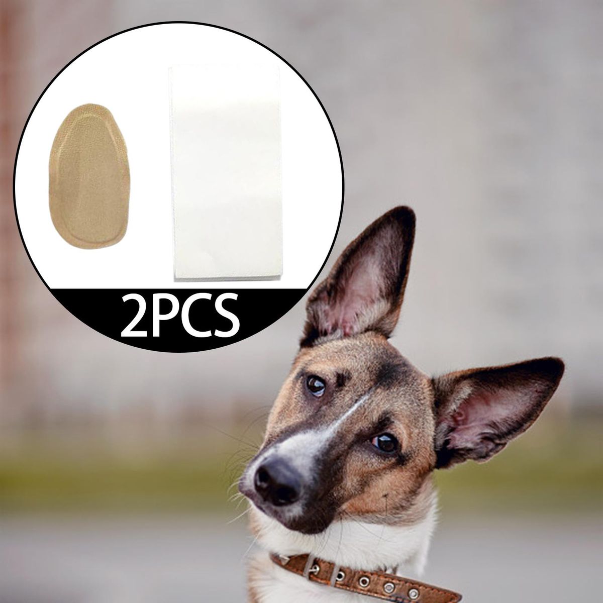 2x Dog Ears Posting  Ear Care Tool Dog Ears Stand Up