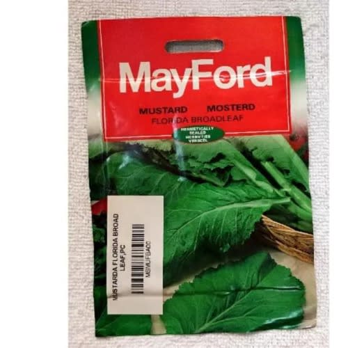 Mayford Mustard Seeds - Florida Broadleaf - 15g