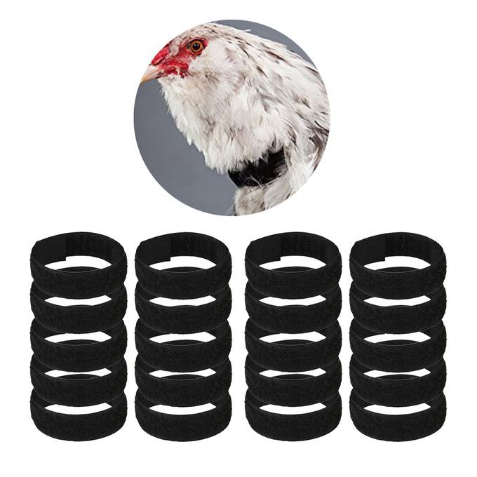 No-Crow Rooster Collar No Crow Noise Neck Belt For Chicken Duck 20