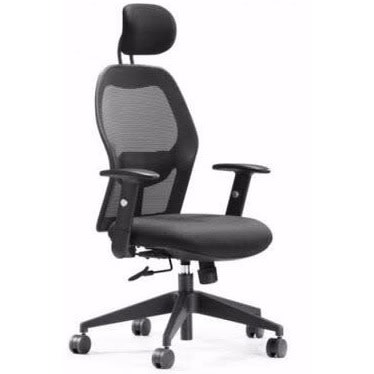 High Back Ergonomic Mesh Chair With Dual Adjustment
