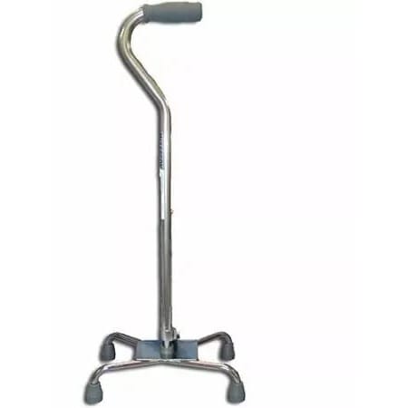 Walking Stick - Tetrapod