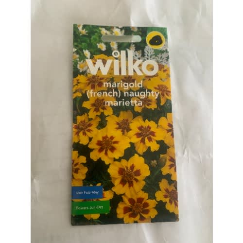 Marigold French Naughty Marietta Seeds - 240 Seeds