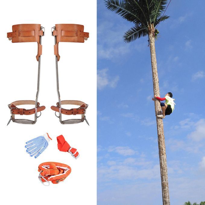 Tree Climbing Spike Set Steps Spurs Tool With Full Leather 1Gear A