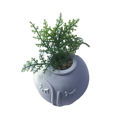 Artificial Succulent Pot With Face - White