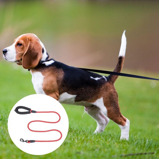 Small Large Pets Dog Walking Leash Running Pet Dog Lead With Foam Red