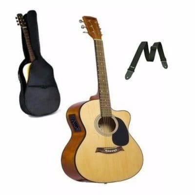 Electric Acoustic Guitar