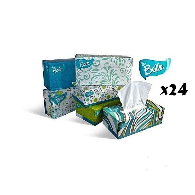 Belle Multipurpose Facial Tissue Box (24 Packs)