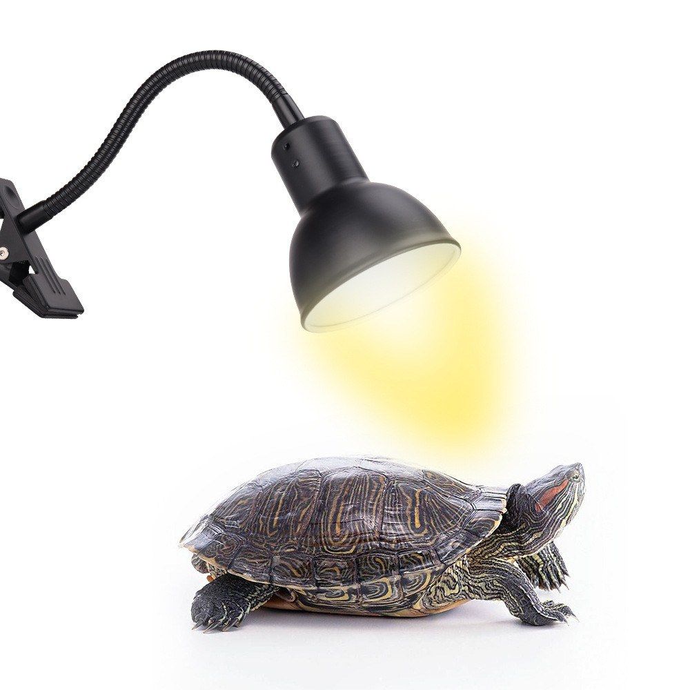 25W Reptile Heat Lamp Tortoise Heat Lamp Basking Lamp Heater