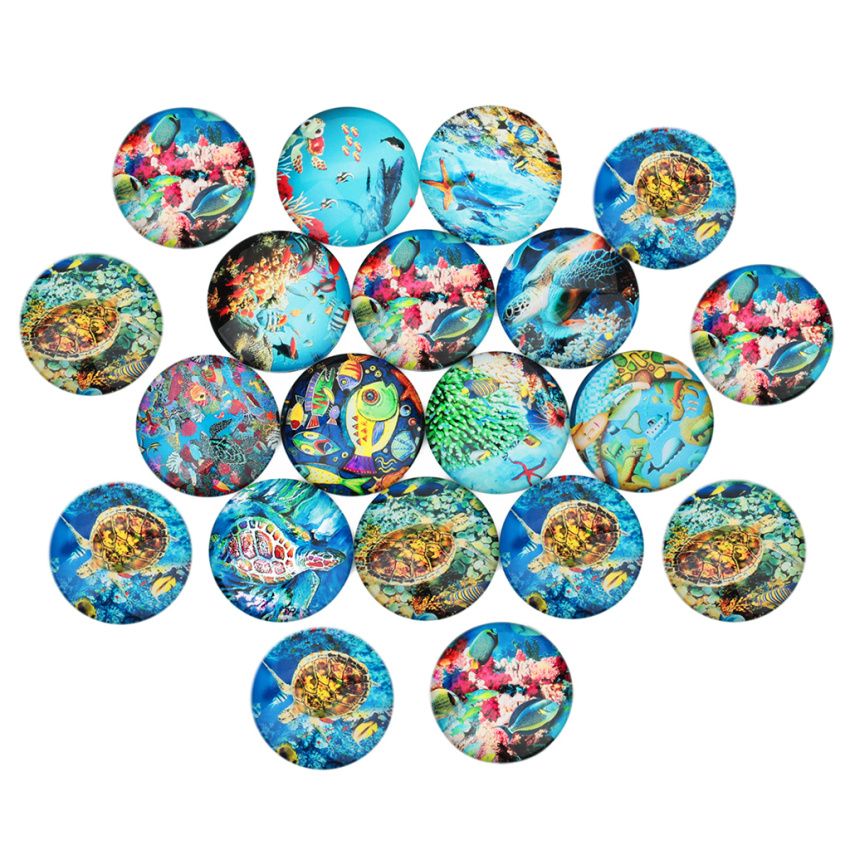 20 Pieces Lovely Clown Fish Pattern Flat Back Fridge Set