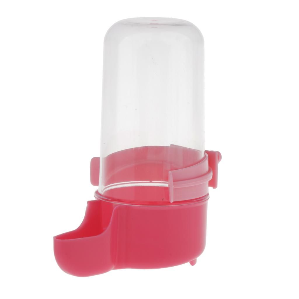 Bird Feeder Water Drinker For Bird Budgie Finch Parrot Pigeon Red