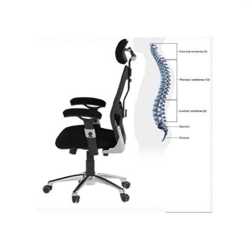 Heavy Duty Executive Ergonomic Back Support Chair