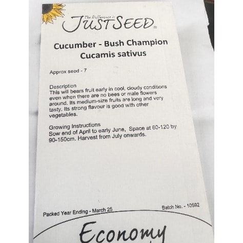 Cucmber Bush Champion Seeds-7 Seeds