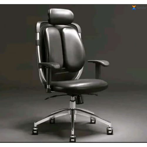 Executive Ergonomic Office Kidney Chair With Adjustable Armrests
