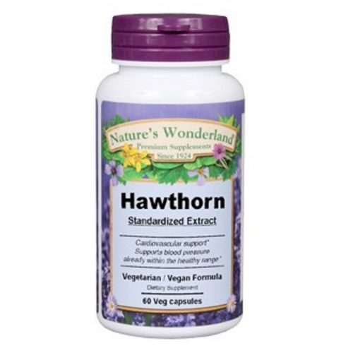 Hawthorn Extract 300Mg 60Cap
