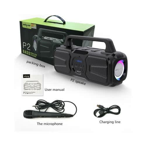 P2 Bass Bluetooth Wireless Speaker