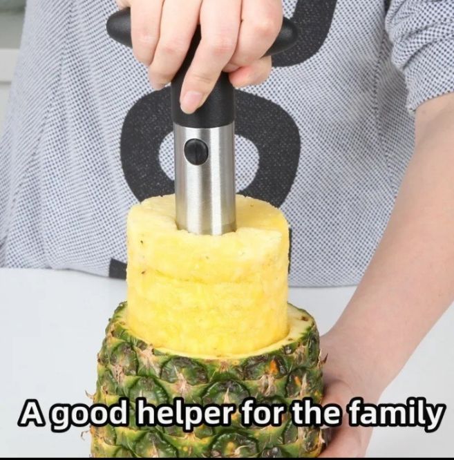 1 Stainless Pineapple Slicer