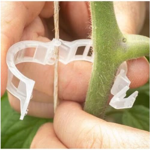 Trellis Clips For Your Tomatoes - 100 Pcs
