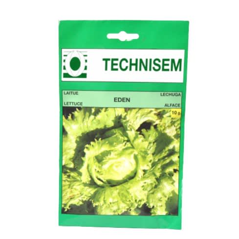 Hybrid Eden Lettuce Seeds (iceberg) - 10g