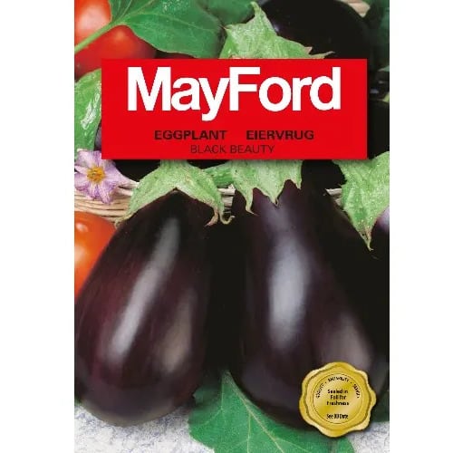 Eggplant Seed - black Beauty - 2.5g