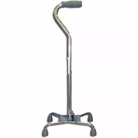 Walking Stick - Tetrapod