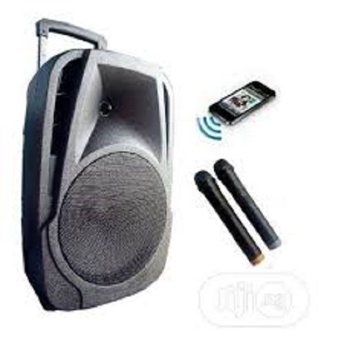 15"inches Public Address System With Two Wireless Microphone
