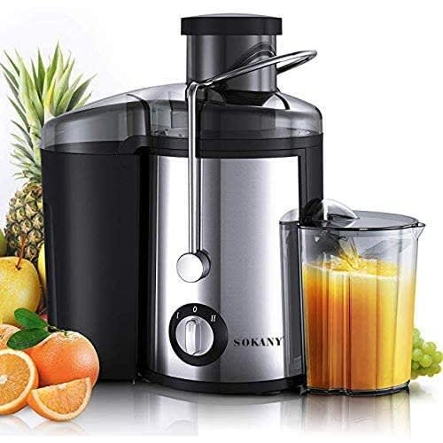 Fruit Juicer 800 W
