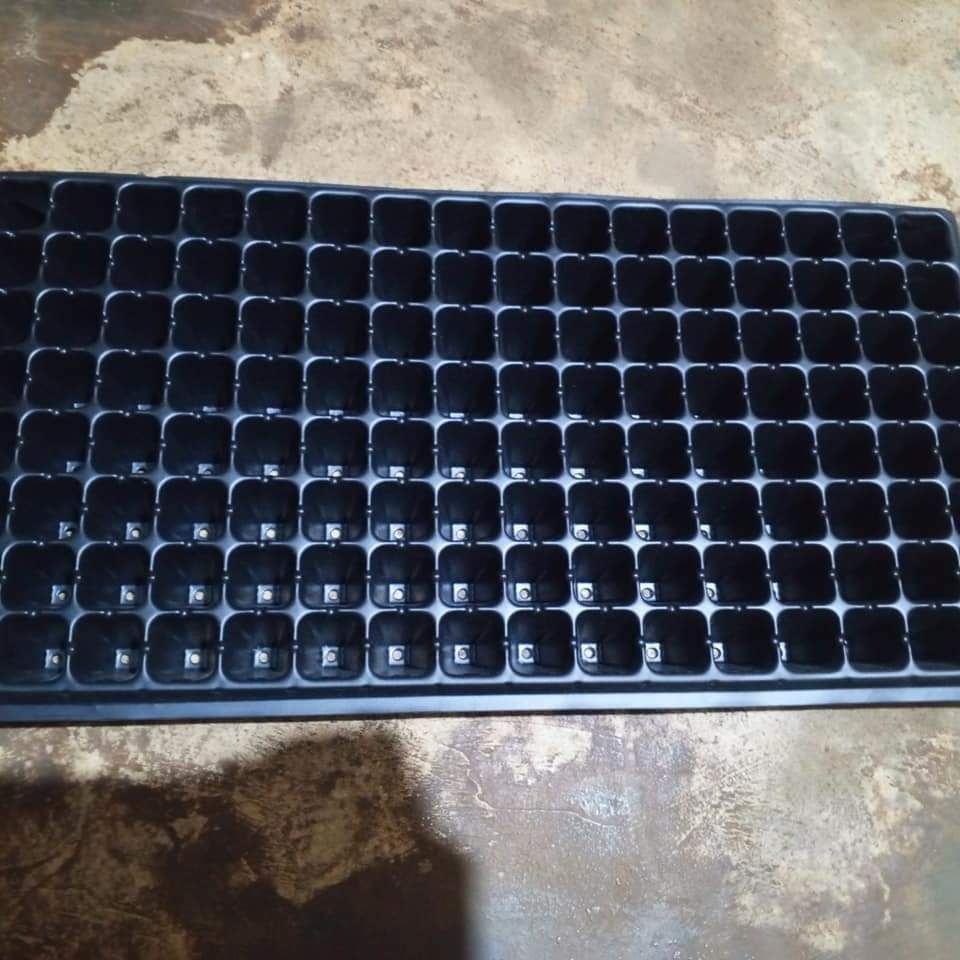 Nursery / Planting Tray