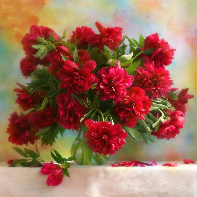 DIY 5D Diamond Painting Red Bunch Flowers Rhinestone Embroid