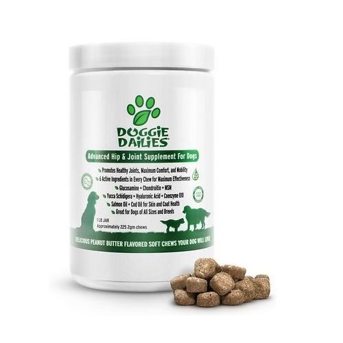 Glucosamine For Dogs, 225 Soft Chews Healthy Joints