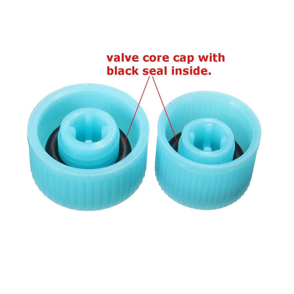 Auto Air Conditioner Refrigerant Valve Cores Caps 134a High Low Cover