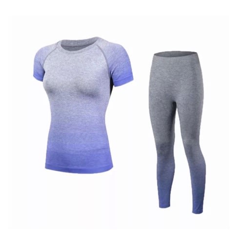 2 In 1 Women's Yoga Gym Set