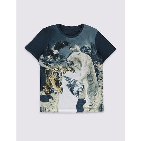 Augmented Reality Bear & Tiger Top