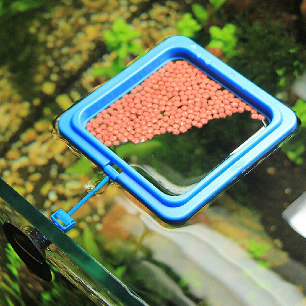 Aquarium Supplies Small Tropical Fish Feeding Circle Small