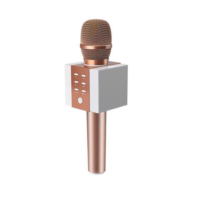 TOSING Wireless Karaoke Microphone Speaker 2-in-1