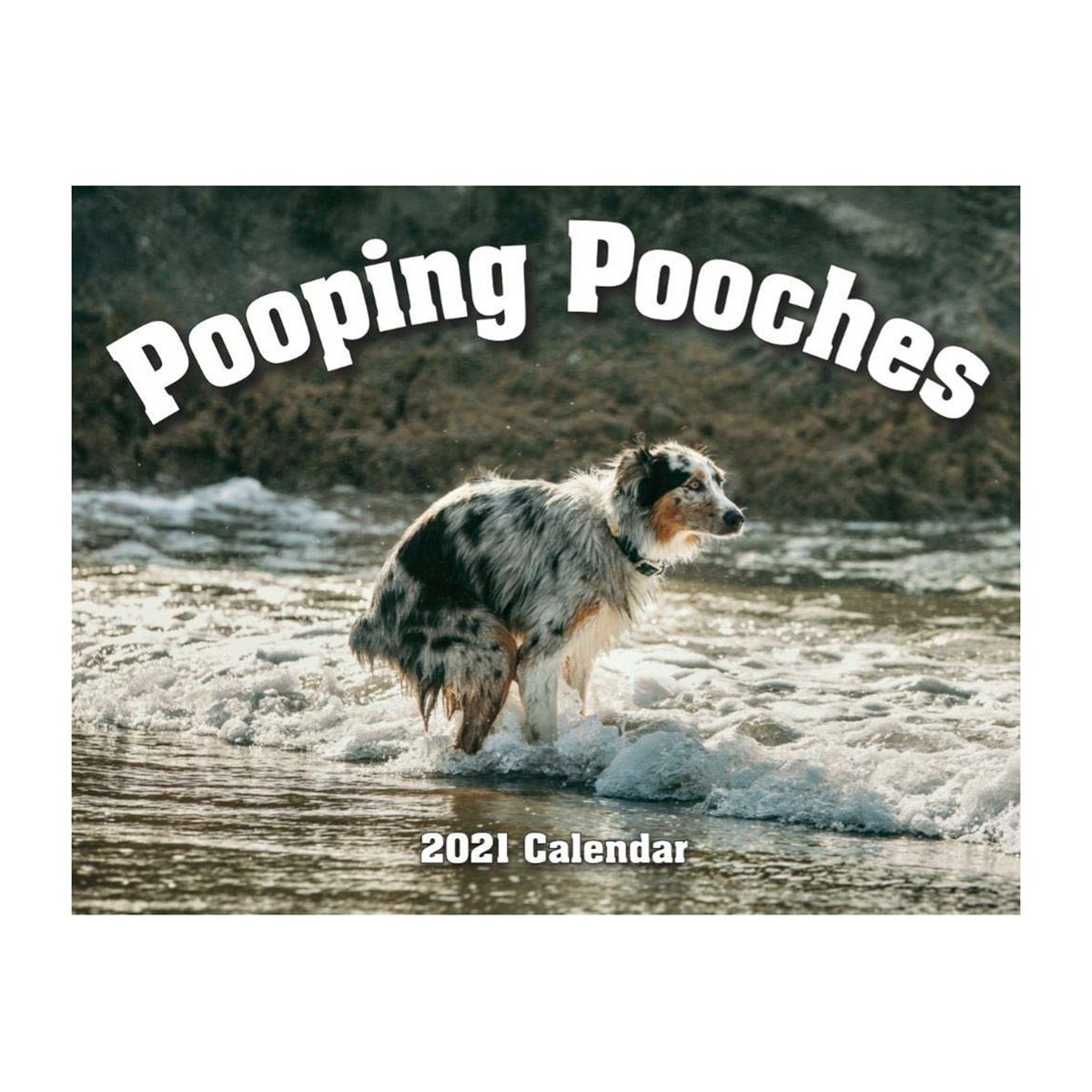 2021 Pooping Pooches White Elephant Gag Gift Calendar Dogs
