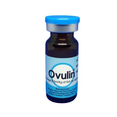 Ovulin For Catfish - Aquarium Fish - 10ml