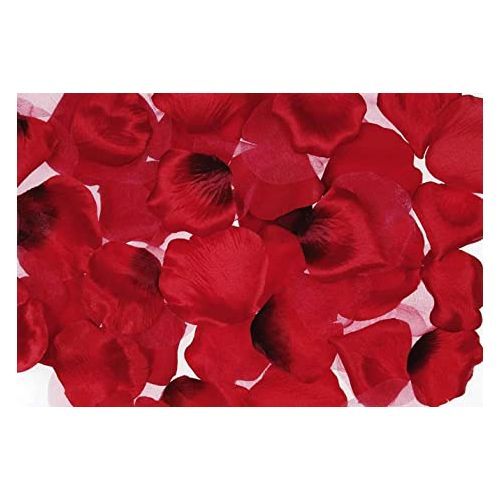 Valentine Red Rose Petals Flowers
